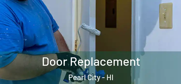  Door Replacement Pearl City - HI