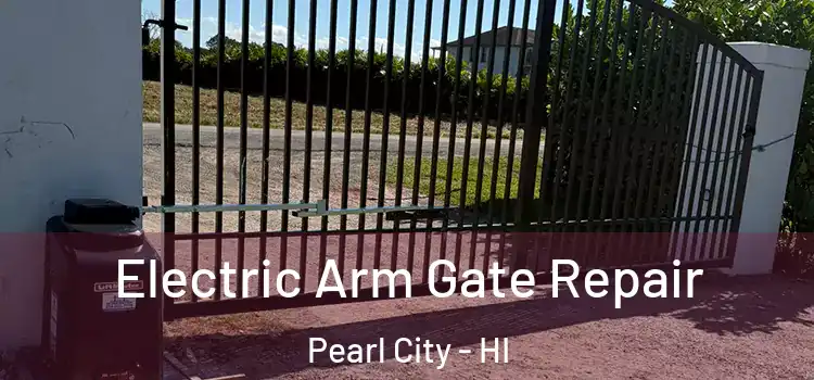 Electric Arm Gate Repair Pearl City - HI