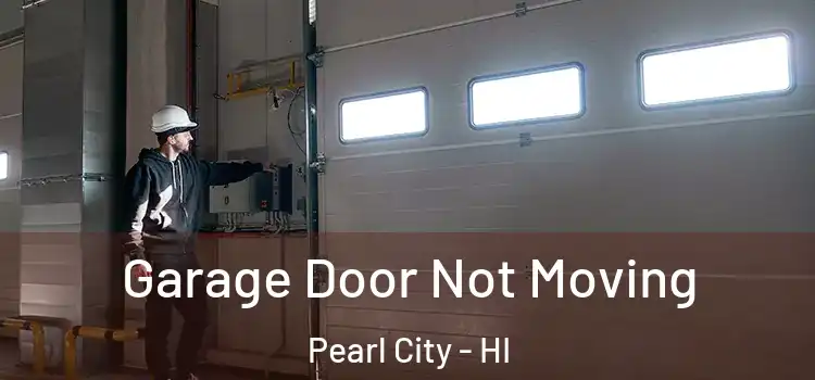  Garage Door Not Moving Pearl City - HI
