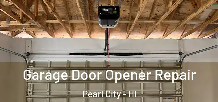  Garage Door Opener Repair Pearl City - HI