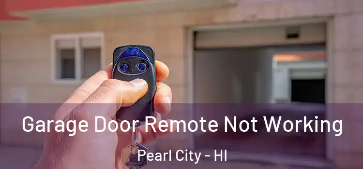 Garage Door Remote Not Working Pearl City - HI