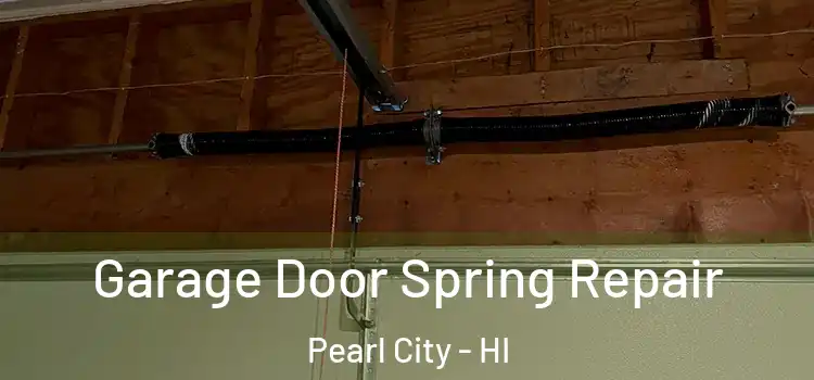  Garage Door Spring Repair Pearl City - HI
