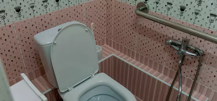 Meeting Diverse Needs With Accessible Restroom Solutions in Pearl City, HI