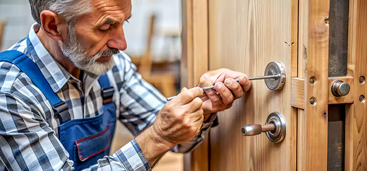Mortise Replacement Lock Pearl City